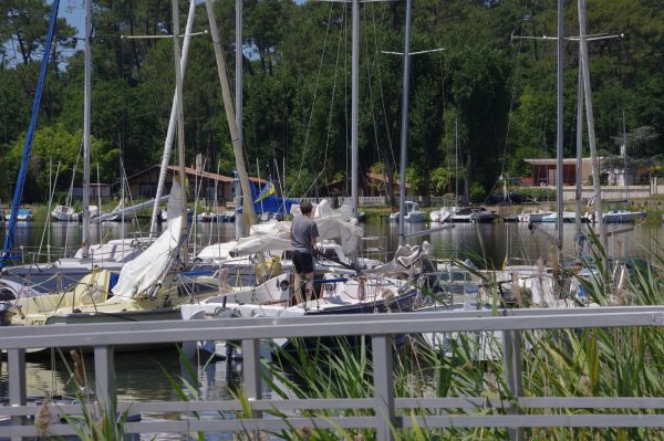 La solitaire – photo 6