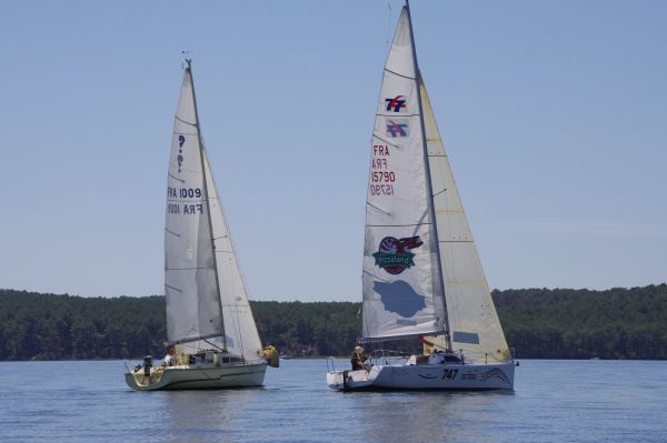 La solitaire – photo 76