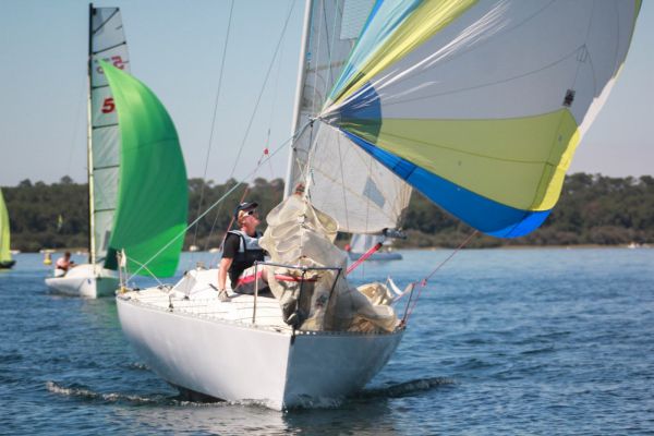 La solitaire – photo 139