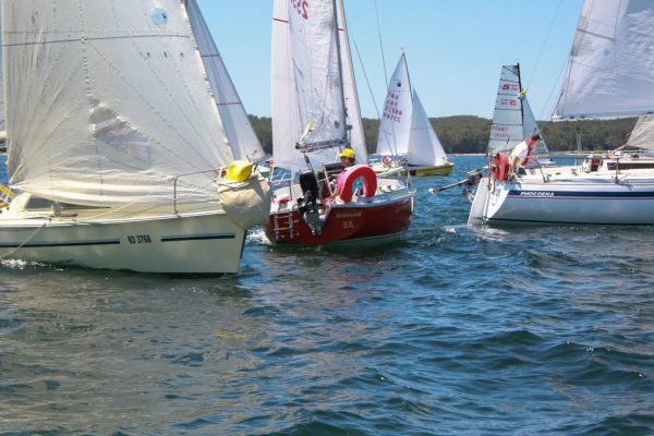La solitaire – photo 132