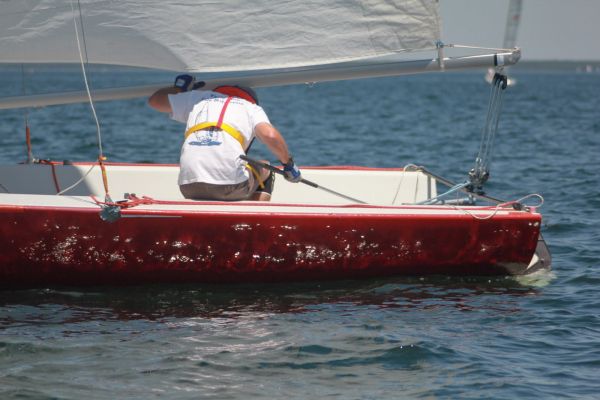 La solitaire – photo 135