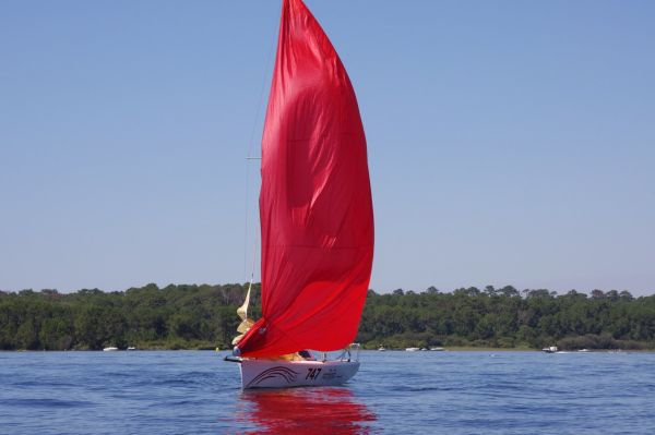 La solitaire – photo 86