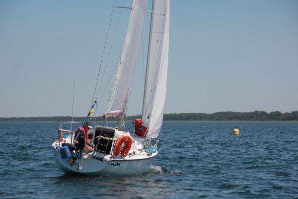 La solitaire – photo 122