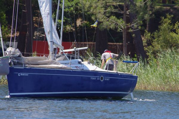 La solitaire – photo 27