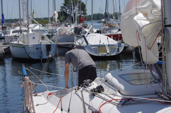 La solitaire – photo 21