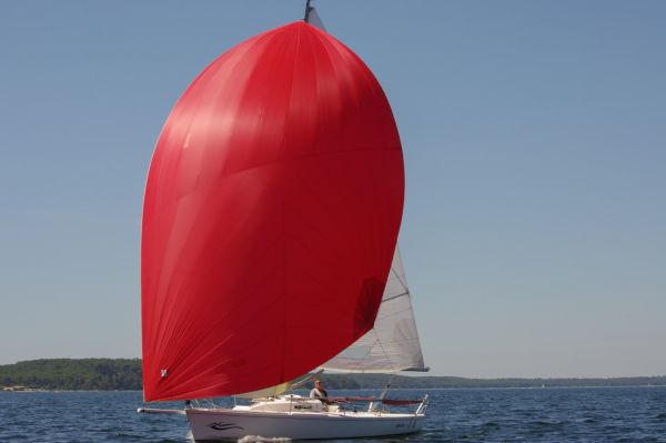 La solitaire – photo 103