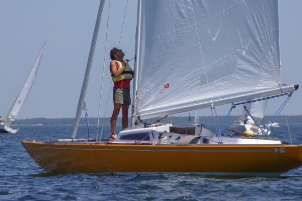 La solitaire – photo 34