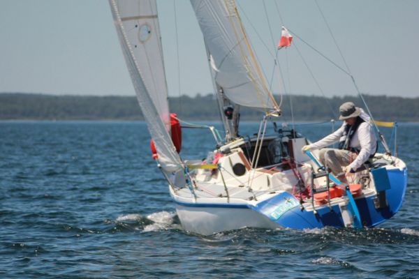 La solitaire – photo 136