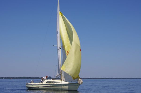 La solitaire – photo 82