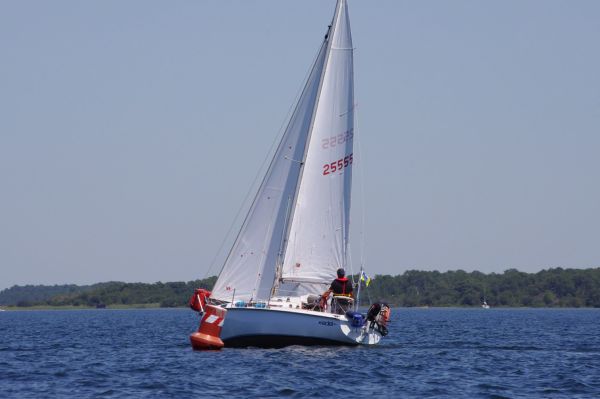 La solitaire – photo 64