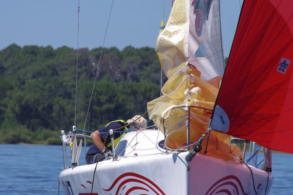 La solitaire – photo 88