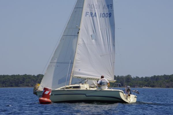 La solitaire – photo 50