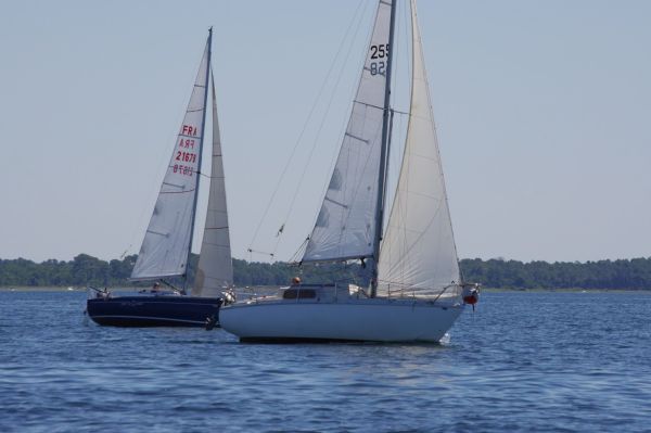 La solitaire – photo 65