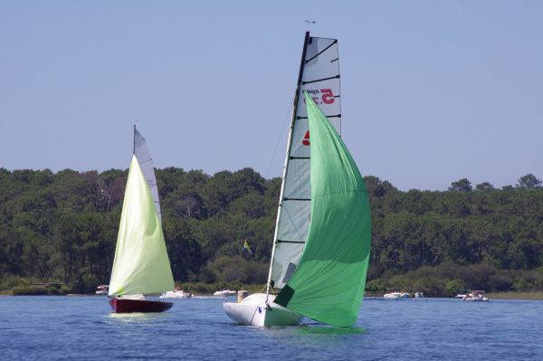 La solitaire – photo 91