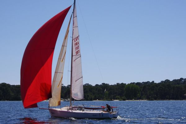 La solitaire – photo 105