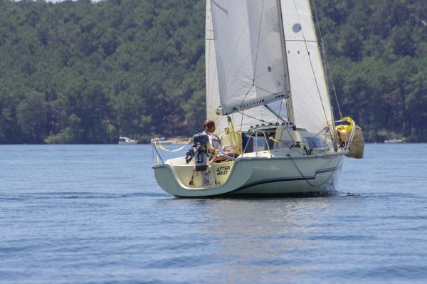 La solitaire – photo 75