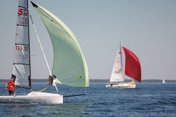 La solitaire – photo 140