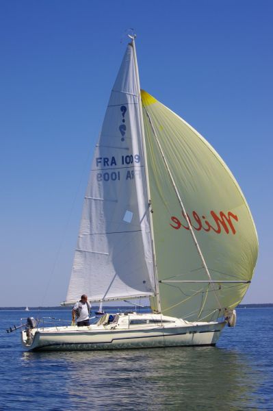 La solitaire – photo 83