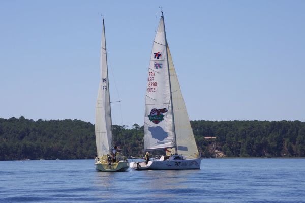 La solitaire – photo 74