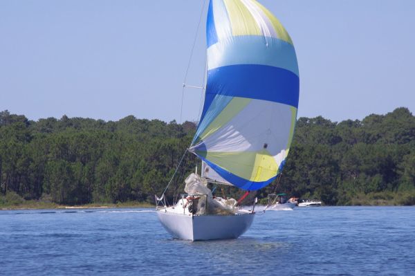 La solitaire – photo 90