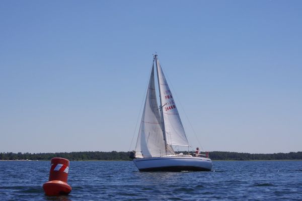 La solitaire – photo 58