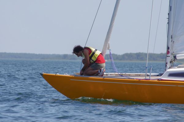 La solitaire – photo 35