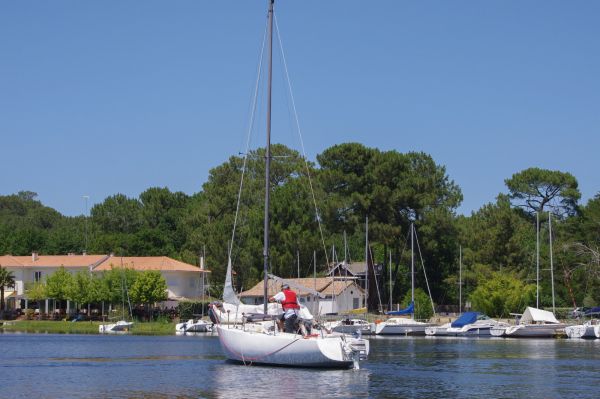 La solitaire – photo 22