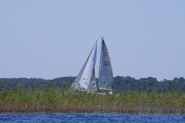 La solitaire – photo 30