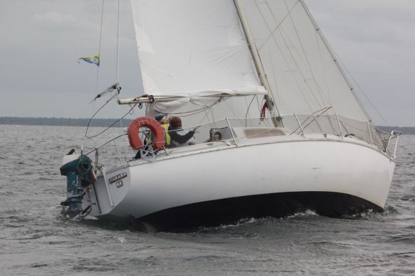 ACE femme à la barre – photo 73
