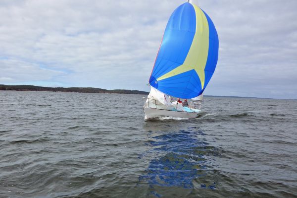 Championnat de printemps – photo 42