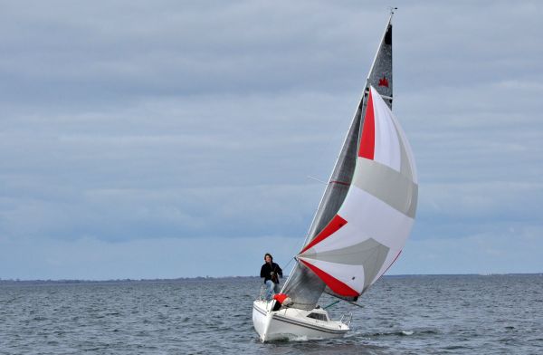 Championnat de printemps – photo 32