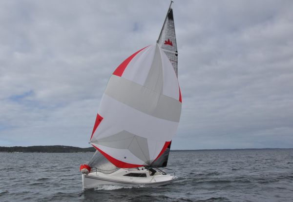 Championnat de printemps – photo 39