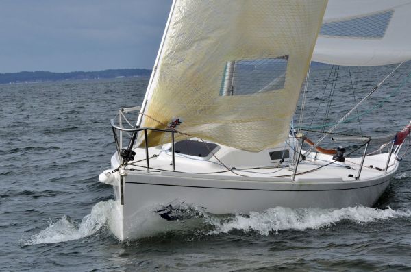 Championnat de printemps – photo 28