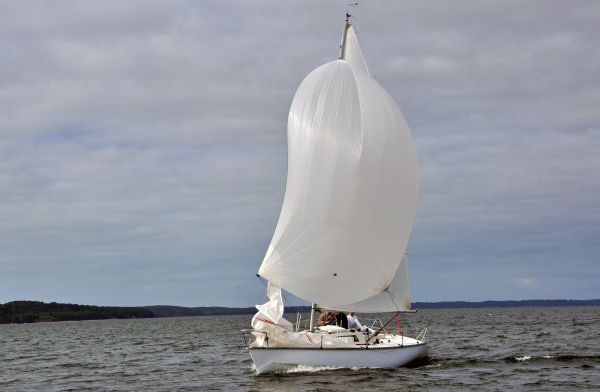 Championnat de printemps – photo 37