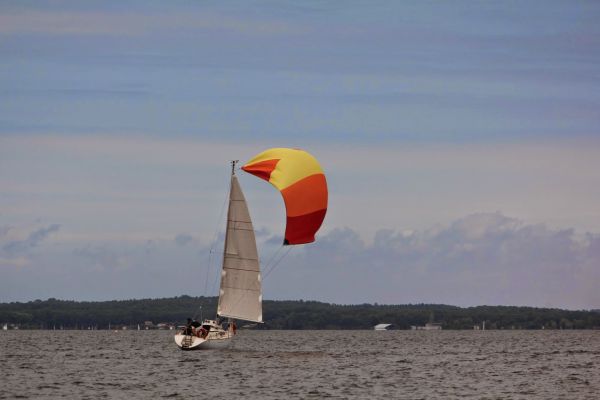 Régate DBS – photo 28