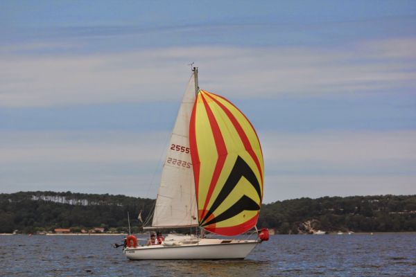 Régate DBS – photo 19
