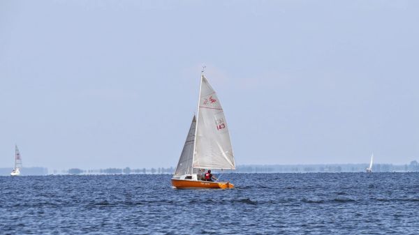 La solitaire – photo 19