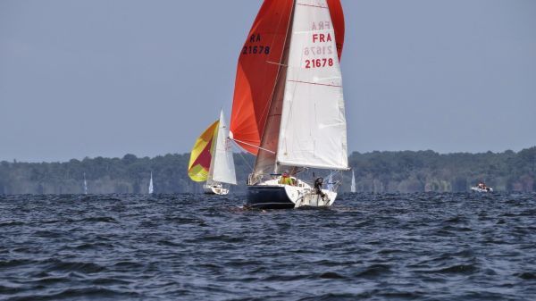 La solitaire – photo 49