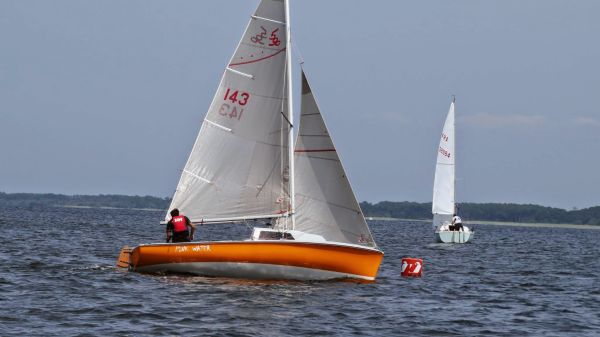 La solitaire – photo 37