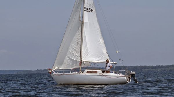 La solitaire – photo 20