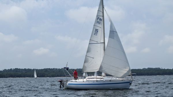 La solitaire – photo 23