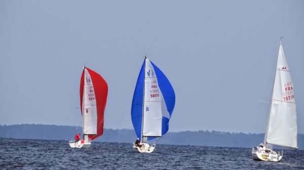 La solitaire – photo 39