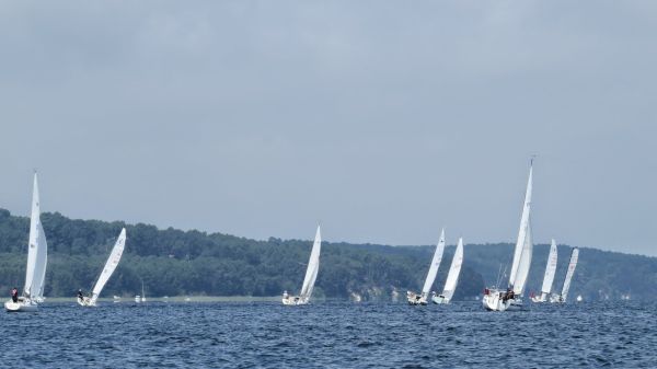 La solitaire – photo 30