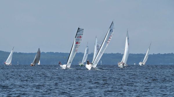 La solitaire – photo 32