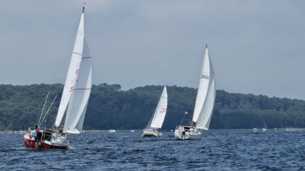 La solitaire – photo 31