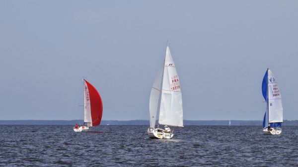 La solitaire – photo 35