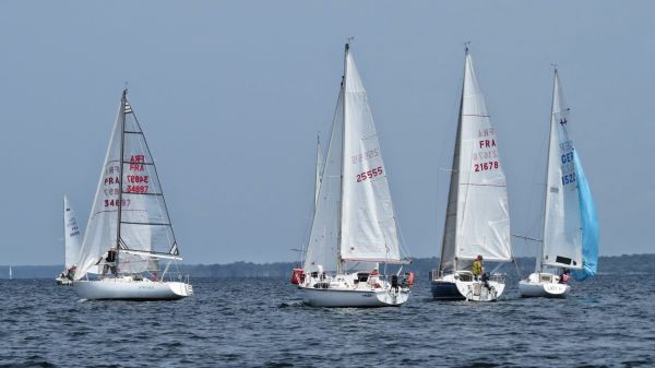 La solitaire – photo 45