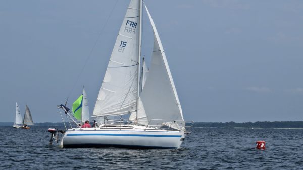 La solitaire – photo 44