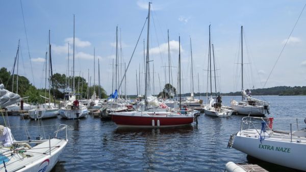 La solitaire – photo 6