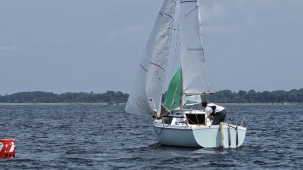 La solitaire – photo 34